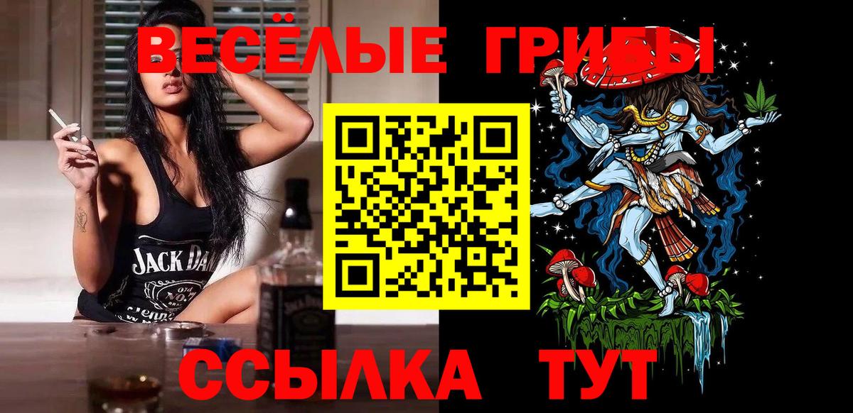 Псилоцибиновые грибы мицелий Пушкино